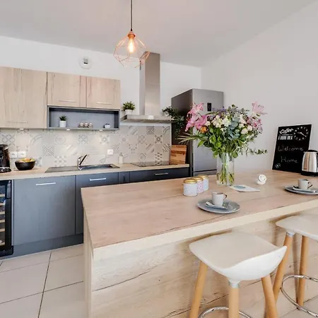 Au Fil Du Thiou - 2 Bedrooms - Parking Apartment